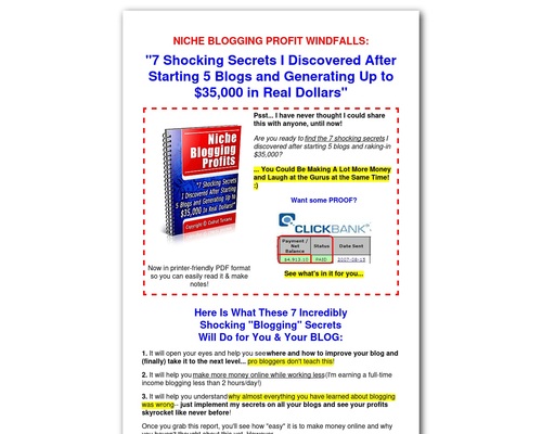 Niche Blogging Profits I Blog for Money (Faster)